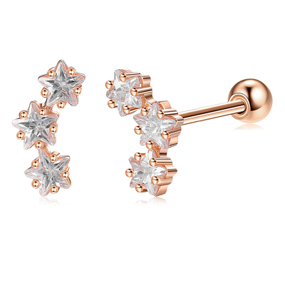 18K goud geplatte 925 Sterling Silver Star Cubic Zirconia Stud oorbellen voor vrouwen Accessoires
