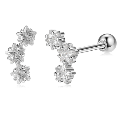 18K goud geplatte 925 Sterling Silver Star Cubic Zirconia Stud oorbellen voor vrouwen Accessoires