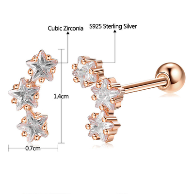 18K goud geplatte 925 Sterling Silver Star Cubic Zirconia Stud oorbellen voor vrouwen Accessoires