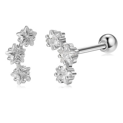 18K goud geplatte 925 Sterling Silver Star Cubic Zirconia Stud oorbellen voor vrouwen Accessoires