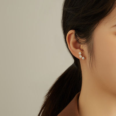 18K goud geplatte 925 Sterling Silver Star Cubic Zirconia Stud oorbellen voor vrouwen Accessoires