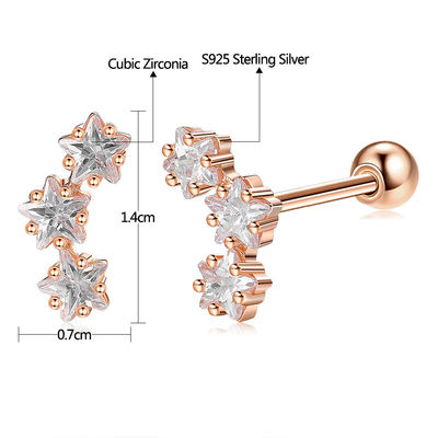 18K goud geplatte 925 Sterling Silver Star Cubic Zirconia Stud oorbellen voor vrouwen Accessoires