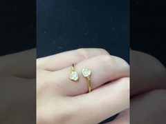 Huidvriendelijke Glans: Hypoallergeen Koper & Zilver